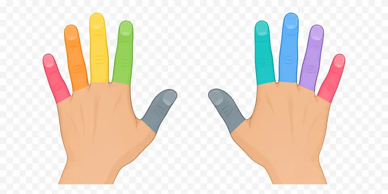 Hands positioned on a keyboard for touch typing